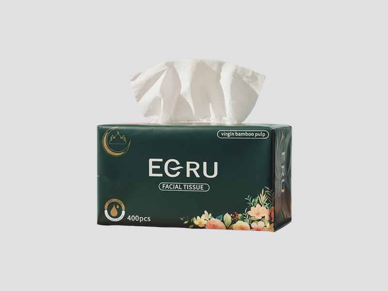 Egru facial tissue soft pack, gentle tissues for everyday comfort in UAE wholesale market.